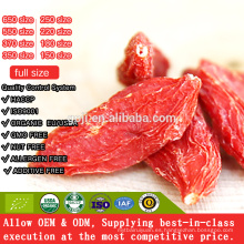 2018 NUEVA CERTIFICADA CHINA GOJI BERRY ORGÁNICA